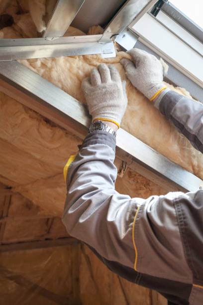 Best Insulation Replacement Services  in Manassas Park, VA