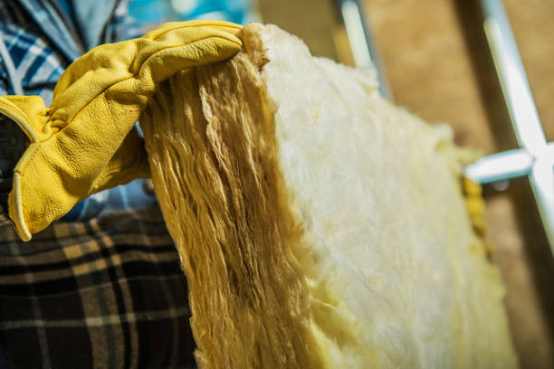 Best Insulation Inspection Services  in Manassas Park, VA