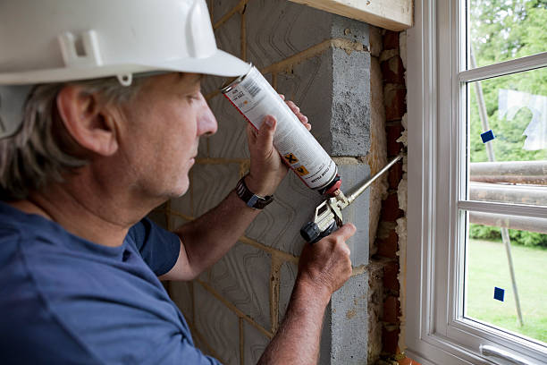 Best Attic Insulation Installation  in Manassas Park, VA