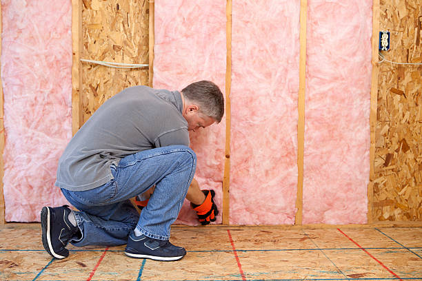Best Blown-in Insulation  in Manassas Park, VA