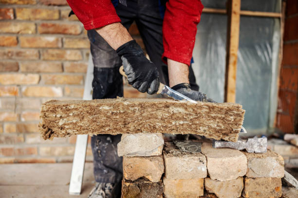 Best Insulation Contractor Near Me  in Manassas Park, VA