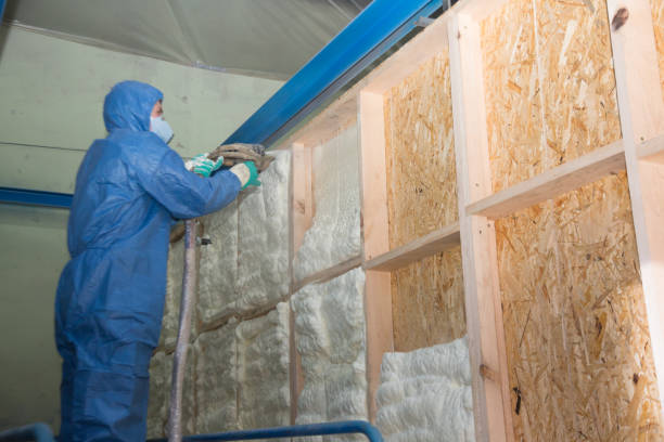 Best Spray Foam Insulation  in Manassas Park, VA