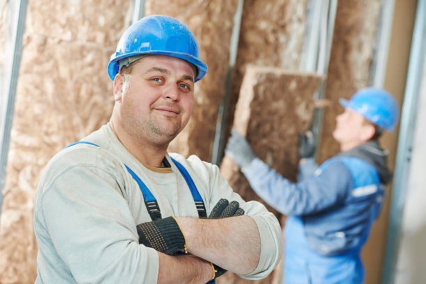 Best Insulation Contractors for Homes  in Manassas Park, VA
